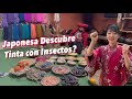 Japonesa Aprende Cultura Andina en Peru #2