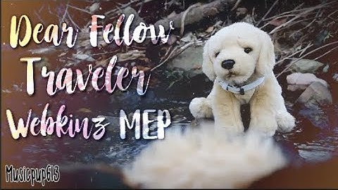 Dear Fellow Traveler : A COMPLETED WEBKINZ MEP