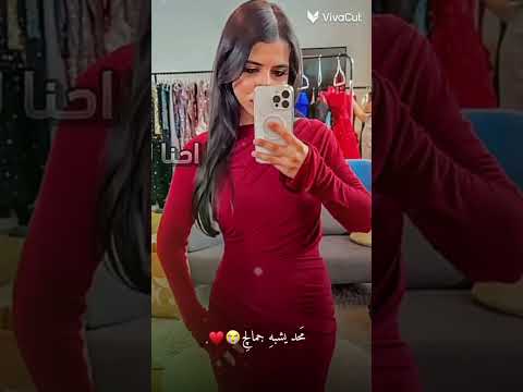 ١٧ سبتمبر ٢٠٢٥