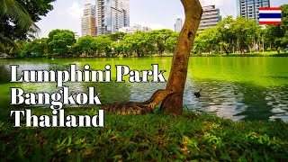 🇹🇭 Walking Tour of Lumphini Park: Monitor Lizards and Nature in Central Bangkok, Thailand