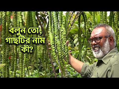 You’ll be amazed when you hear the name of this strange tree