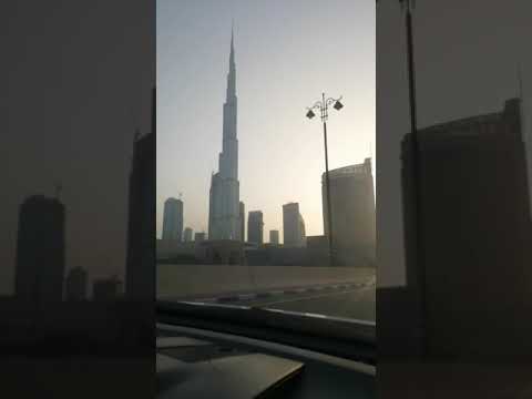 habibi come to Dubai