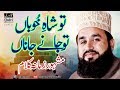 Khalid Hasnain Khalid sb Munfarid Andaz main||Shab-e-Noor 2017