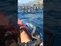 海のミサイルがかかると… #釣り