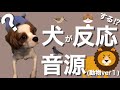 犬 鳴き声 効果音 おすすめyoutube 人気動画ランキングまとめ