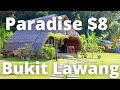 Bukit lawang jungle paradise hotels from 8 sumatra indonesia