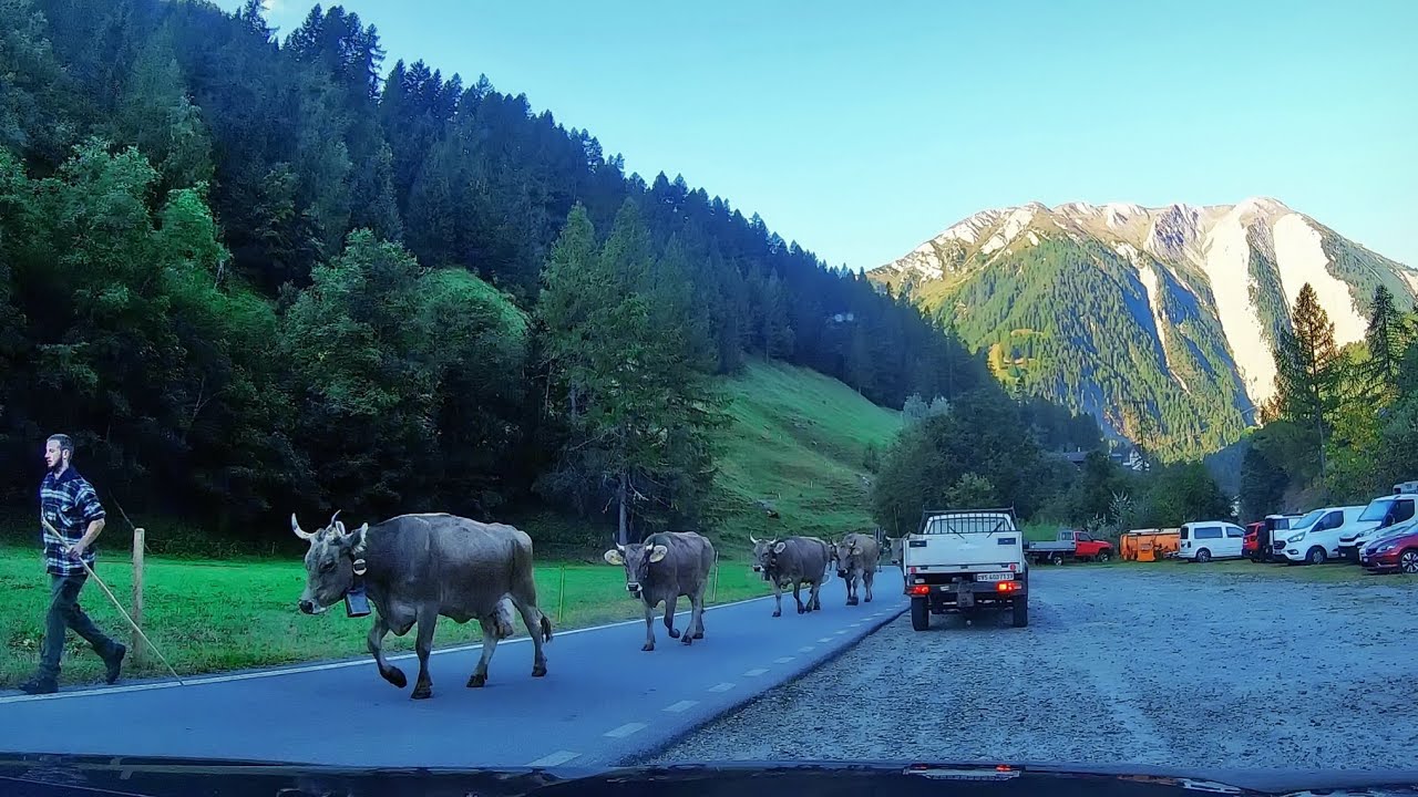 Autofahrt durch das Binntal - von Fäld nach Lax | Kt. Wallis, Schweiz