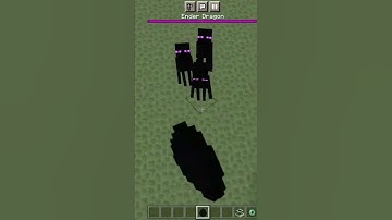 White Enderman 😳