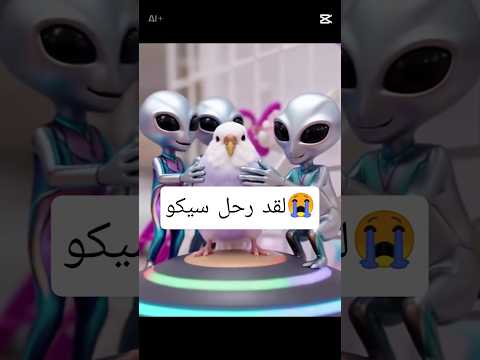 انتبهو لطيوركم لقد عاد الفضائيون لسرقتها Birds طيور Funny Short