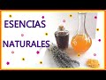 🌈Cómo hacer TINTURAS ( esencias )  de ROMERO, VAINILLA, CANELA , NARANJA o LIMÓN (Tutorial)