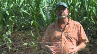 CCA Program-Grower Testimonial (Danial Gause, SC)