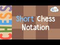 Chess Rules and Strategies