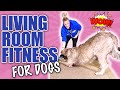 5 Tricks To Teach Your Dog That Will Exercise Them At Home!