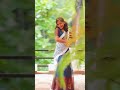 Evergreen song & steps ❤️😍 #lifelivingandnature #shorts #dance