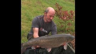 Bearley 30 Plus Grie