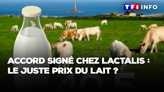 Accord signé chez Lactalis : le juste prix du lait ?