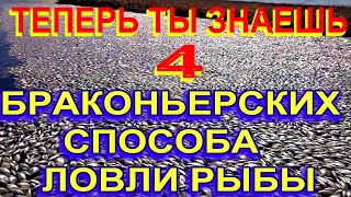 4  браконьерских, Варварских Способах Ловли Рыбы, про которые должен знать каждый рыбак