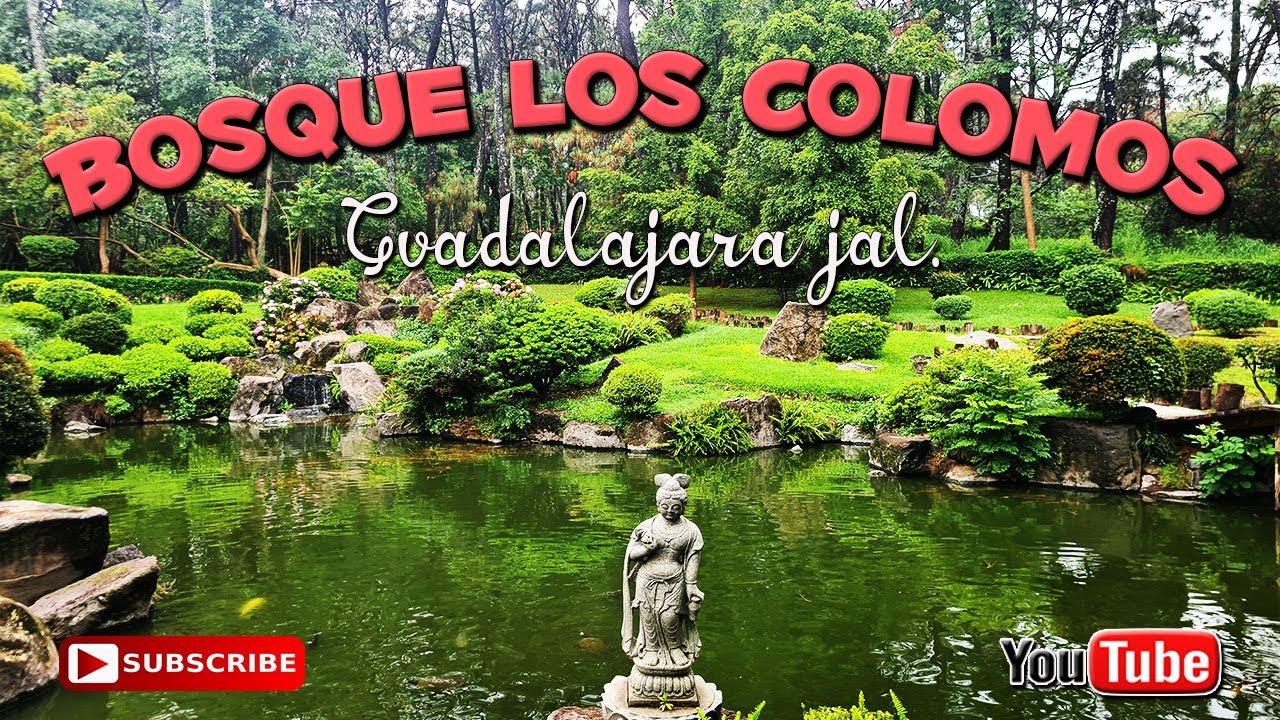 Jardin Japones En El Bosque Los Colomos / Guadalajara Jal. - YouTube