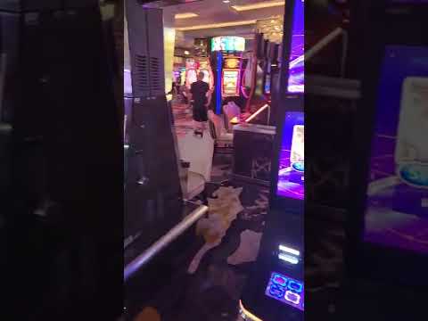 PASOS de SALSA Casino Básicos e Intermedios - KenCallahan y 2 Pasos + (RUEDA DE CASINO)💃🕺🎼