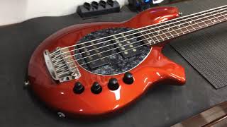 Music Man Bongo 5 Cordas