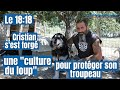 En toscane un berger dfend son troupeau grce  la  culture du loup 