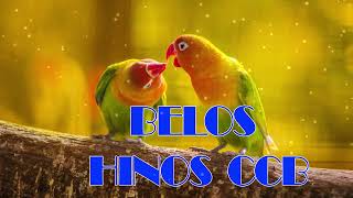 BELOS HINOS CCB  - Hinário 5  - Top Hinos Cantados CCB