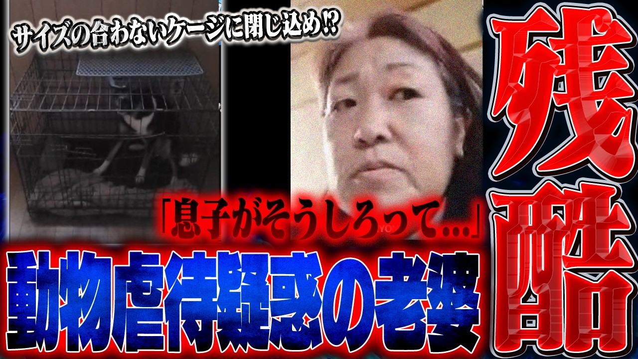 【胸糞】飼い犬を”サイズの合わないケージに閉じ込め”散歩をしないヤバすぎる飼い主...支援希望の相談のはずがとんでもない事実が発覚し生放送大荒れの事態に。