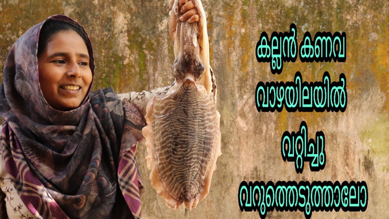 കല്ലൻ കണവ വാഴയിലയിൽ വറ്റിച്ചു വറുത്തെടുത്താലോ /big squid fry malayalam
