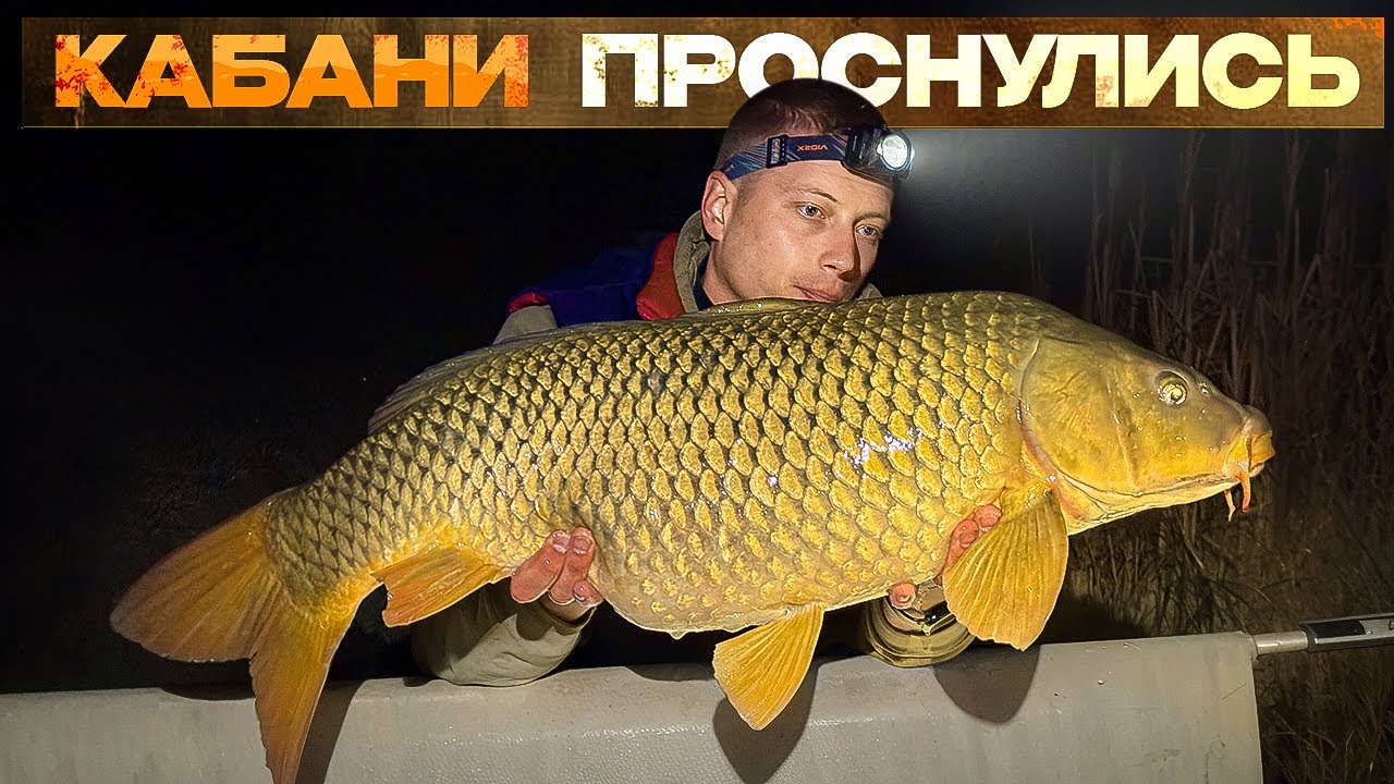Весняна риболовля на Трофейній Долині