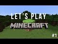 Lets play minecraft 1