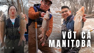 Vớt Cá Sucker Ở Manitoba, Canada | Sucker Run