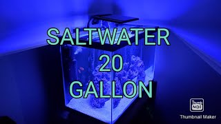 20 Gallon Saltwater Tank!!