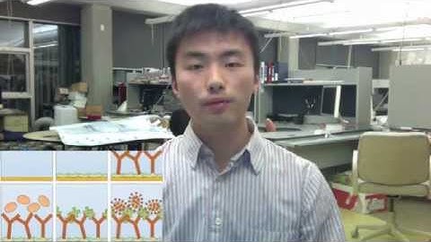 SiEPIC-2013-3MT-XuWang.m4v