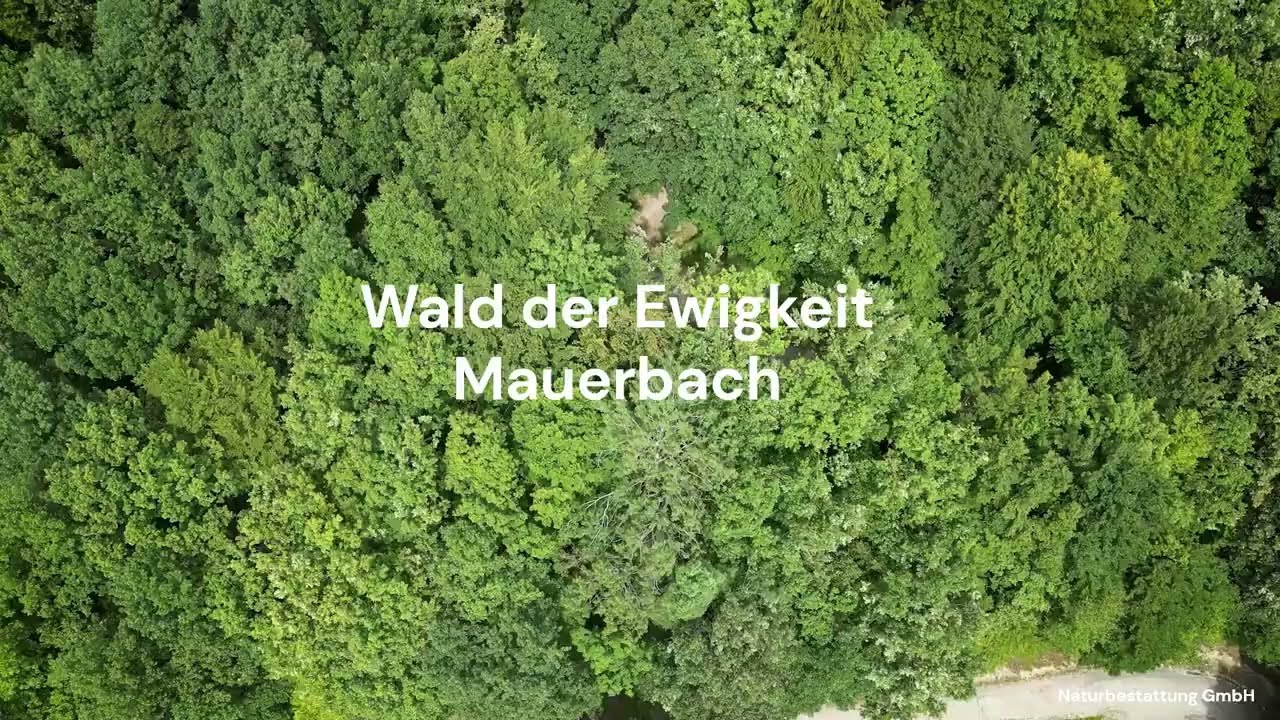 Wald der Ewigkeit - Mauerbach
