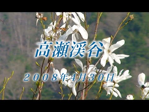 177 北アルプス高瀬渓谷4月 2008年4月30日 - 生物多様性体験保全