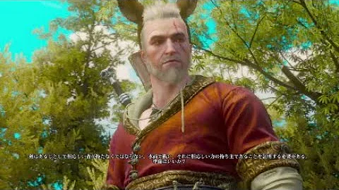 ウィッチャー3 エアロンダイト 入手