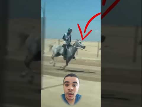 سباق الخيل