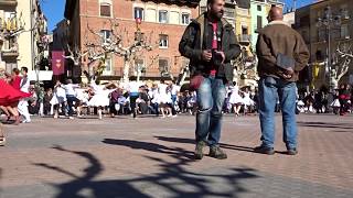 La Colla Sardanista Violetes Del Bosc Es Proclama Campiona De Catalunya 2017