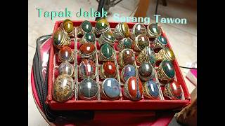 Batu Lintang Tapak Jalak Sarang Tawon Dan Pancawarna 603