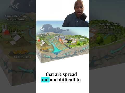 How Do Environmental Scientist Identify Point Source Pollution