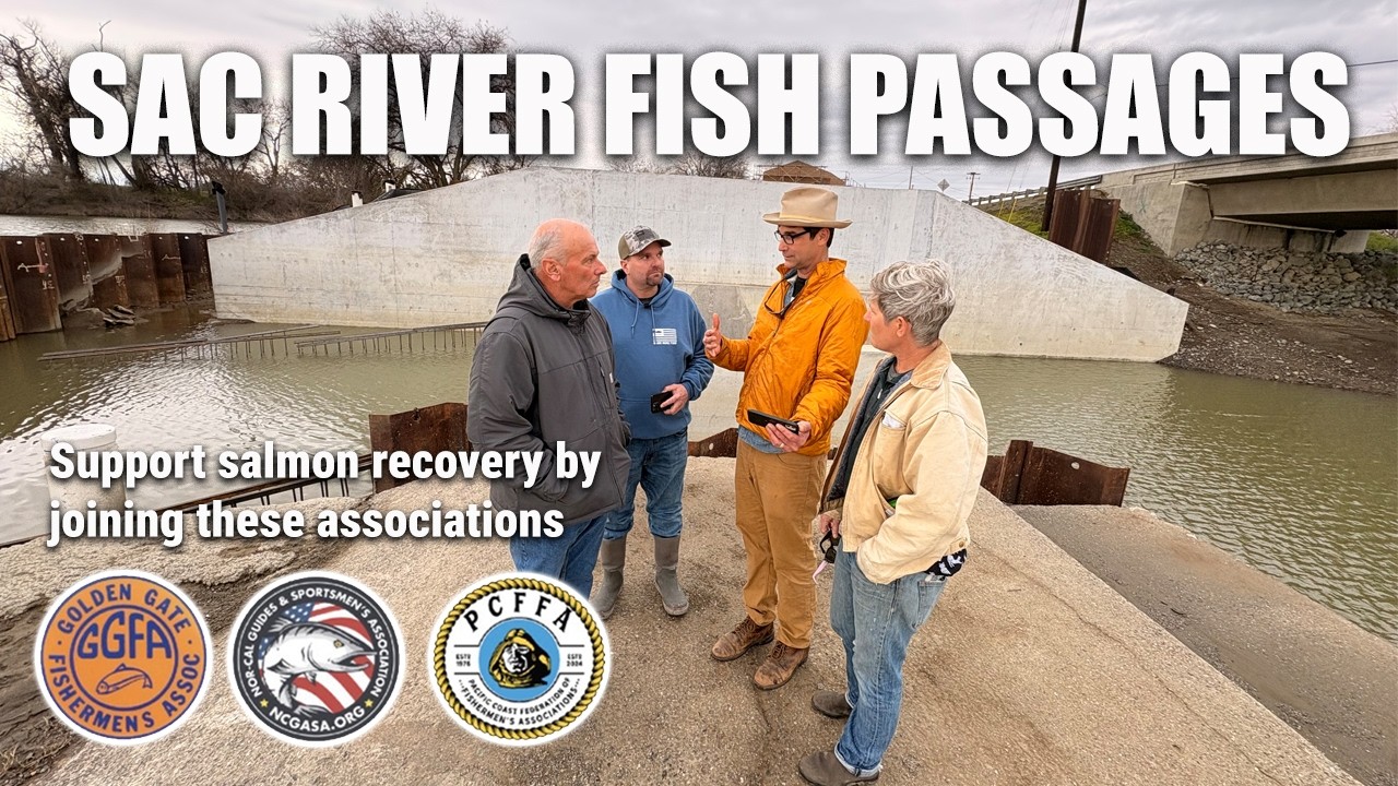 Enhancing SALMON fish passages | TISDALE WEIR