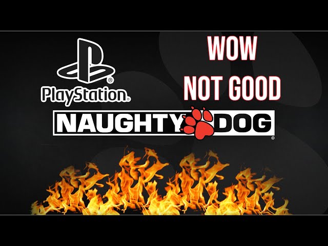 The Not Naughty Dog