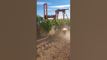 Stem Cleaner Plus Under Vine Weeder SRB 22-400 Made By Provitis France || #shorts