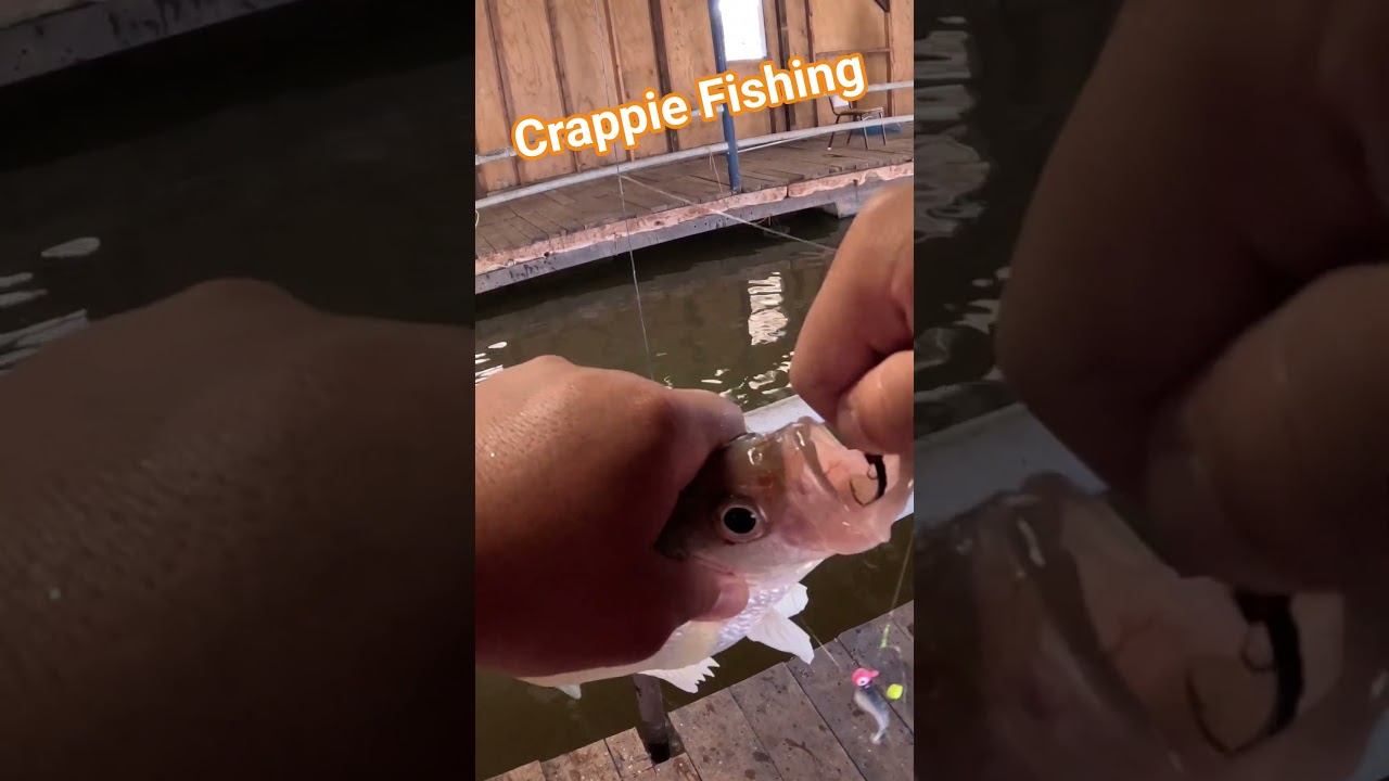 Crappie Fishing 