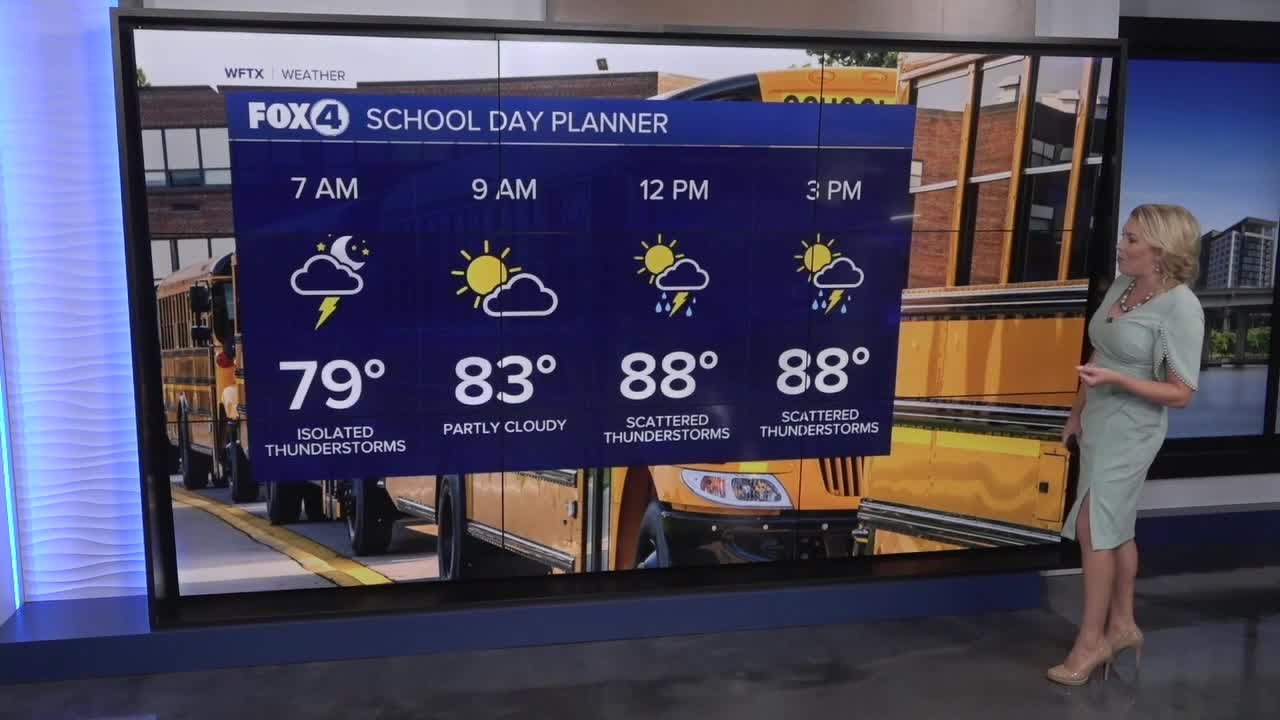 Few AM Storms, Scattered PM Storms - YouTube