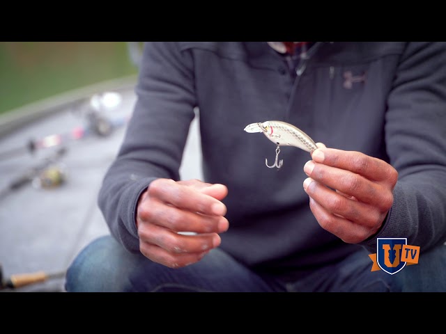 SECRET Largemouth BASS Crankbait Fishing Lure Tips 