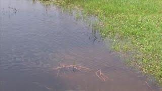 PCB Stormwater Problems
