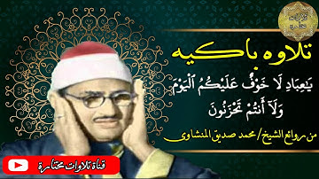 المنشاوي تلاوة نادرة مبكيه - الزخرف والدخان والقدر للمنشاوى - بدون صوت الجمهور