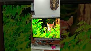 New Arrival#shortvideo #4ktv #samsungledtv #smarttv #