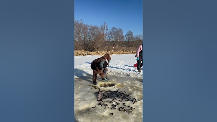 【搞笑漁民真實生活】日出日落，勤勤恳恳！#fishing  #shorts